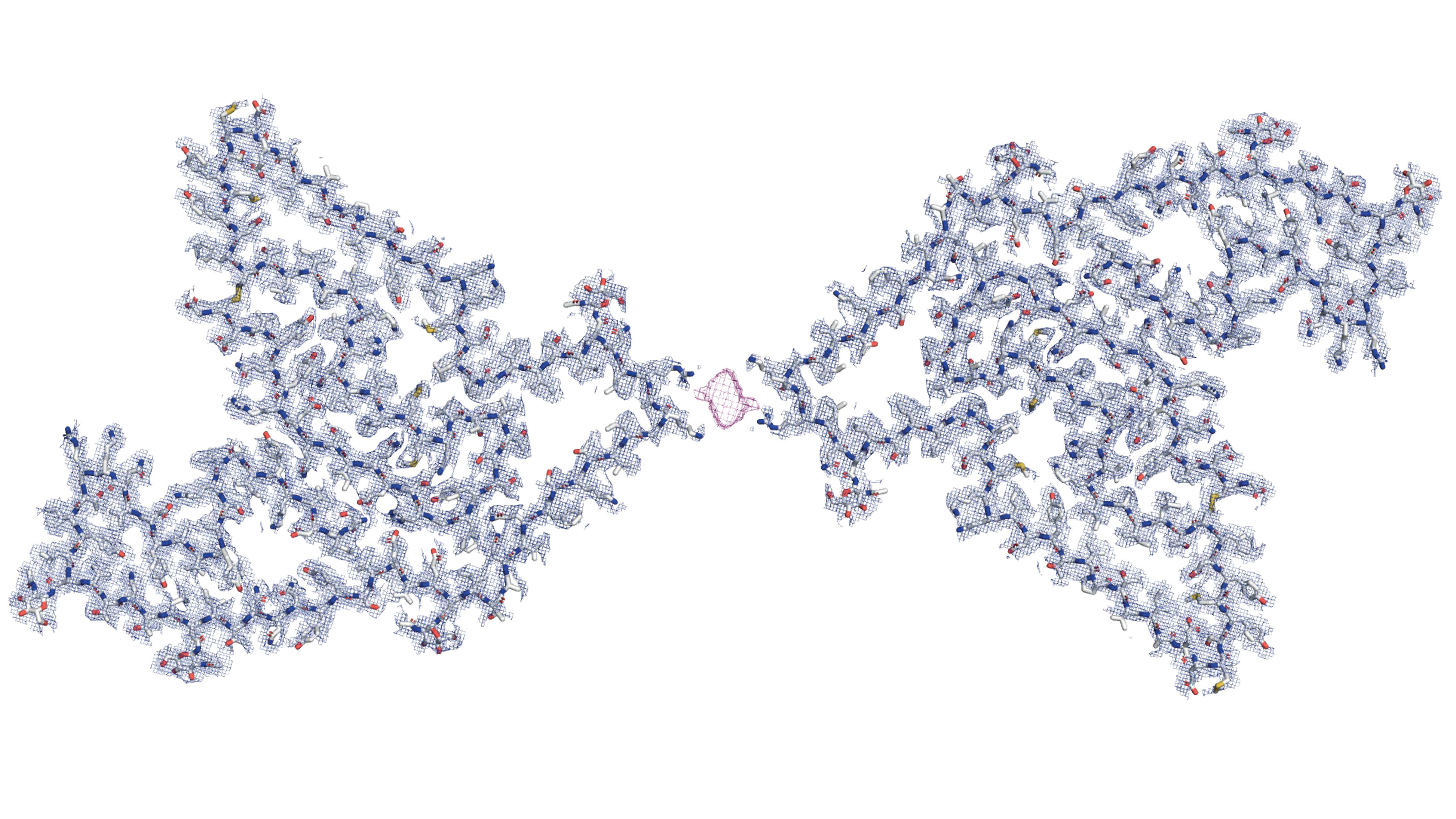 Columbia Study Suggests Possible Common Thread Between Many
